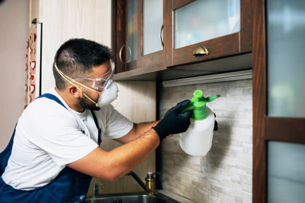 Best Pest Control for Businesses  in Wakefield, MI