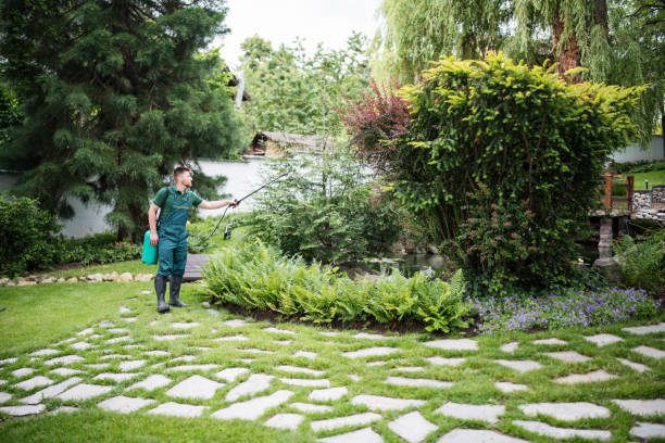 Best Residential Pest Control  in Wakefield, MI