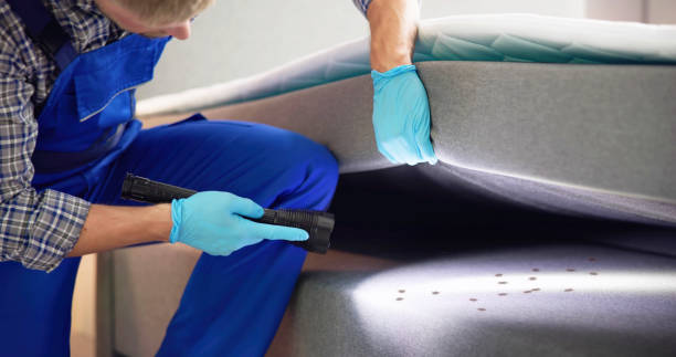 Best Insect Control  in Wakefield, MI