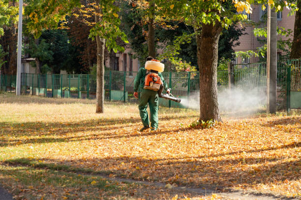 Best Best Pest Control Companies  in Wakefield, MI
