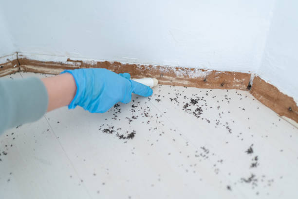 Best Wildlife Control Services  in Wakefield, MI