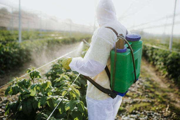 Best Affordable Pest Control Services  in Wakefield, MI